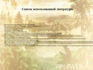 Список использованной литературы http://www.vokrugsveta.ru/photo/thumbnails/1024