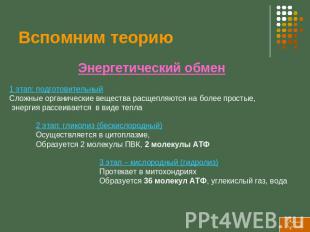 Вспомним теорию Энергетический обмен 1 этап: подготовительный Сложные органическ