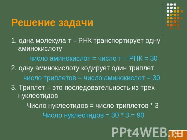 Решение задачи 1. одна молекула т – РНК транспортирует одну аминокислоту число аминокислот = число т – РНК = 30 2. одну аминокислоту кодирует один триплет число триплетов = число аминокислот = 30 3. Триплет – это последовательность из трех нуклеотид…