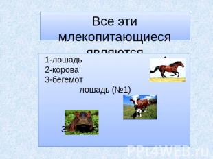 Все эти млекопитающиеся являются парнокопытными: 1-лошадь 1 2-корова 3-бегемот л