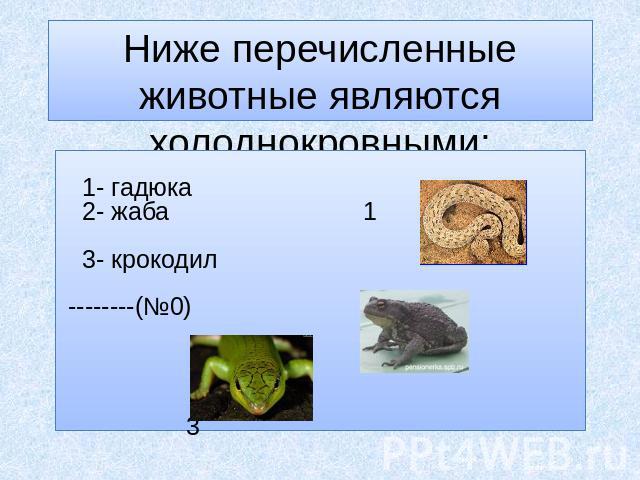 Ниже перечисленные животные являются холоднокровными: 1- гадюка 2- жаба 1 3- крокодил --------(№0) 2 3