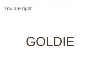 You are right GOLDIE