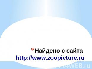 Найдено с сайта http://www.zoopicture.ru