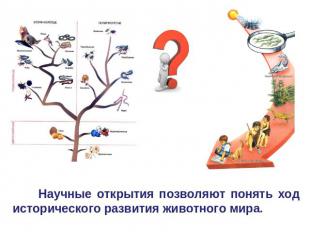 Научные открытия позволяют понять ход исторического развития животного мира.