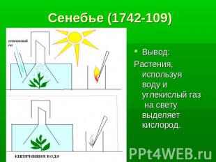 Сенебье (1742-109) Вывод: Растения, используя воду и углекислый газ на свету выд