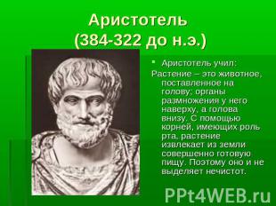 Аристотель (384-322 до н.э.) Аристотель учил: Растение – это животное, поставлен