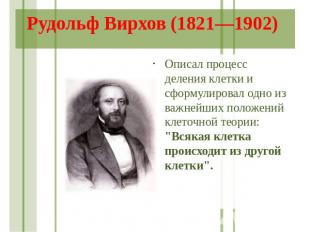 Рудольф Вирхов (1821—1902) Описал процесс деления клетки и сформулировал одно из