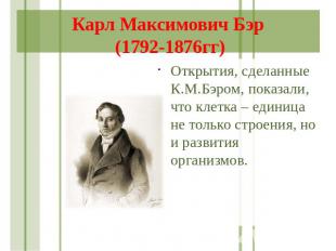 Карл Максимович Бэр (1792-1876гг) Открытия, сделанные К.М.Бэром, показали, что к