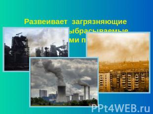 Развеивает загрязняющие вещества, выбрасываемые промышленными предприятиями