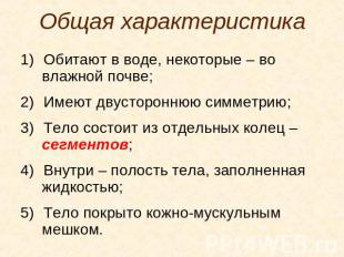 Общая характеристика Обитают в воде, некоторые – во влажной почве; Имеют двустор