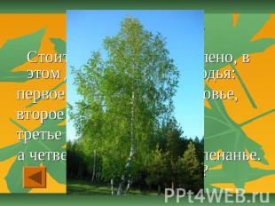 Отгадай-ка - «20» Стоит дерево, цветом зелено, в этом дереве – четыре угодья: пе