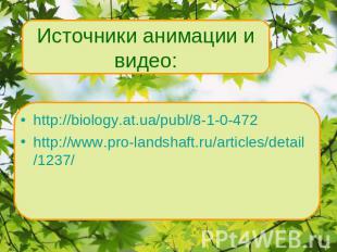 http://biology.at.ua/publ/8-1-0-472 http://www.pro-landshaft.ru/articles/detail/