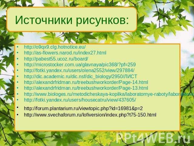 http://o9qx9.clg.hotnotice.eu/ http://o9qx9.clg.hotnotice.eu/ http://as-flowers.narod.ru/index27.html http://pabest55.ucoz.ru/board/ http://microstocker.com.ua/glavnaya/pic368/?pf=259 http://fotki.yandex.ru/users/olena2552/view/297884/ http://dic.ac…