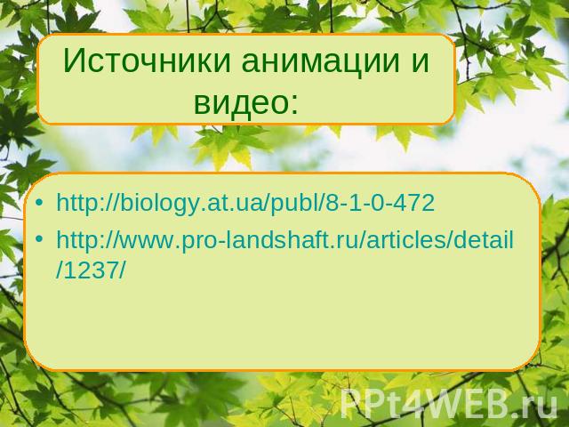 http://biology.at.ua/publ/8-1-0-472 http://www.pro-landshaft.ru/articles/detail/1237/