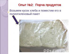 Опыт №2: Порча продуктов Возьмем кусок хлеба и поместим его в полиэтиленовый пак