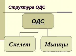Структура ОДС