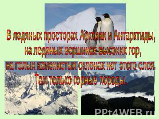 В ледяных просторах Арктики и Антарктиды, на ледяных вершинах высоких гор, на го