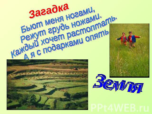 Загадка Бьют меня ногами, Режут грудь ножами. Каждый хочет растоптать. А я с подарками опять Земля