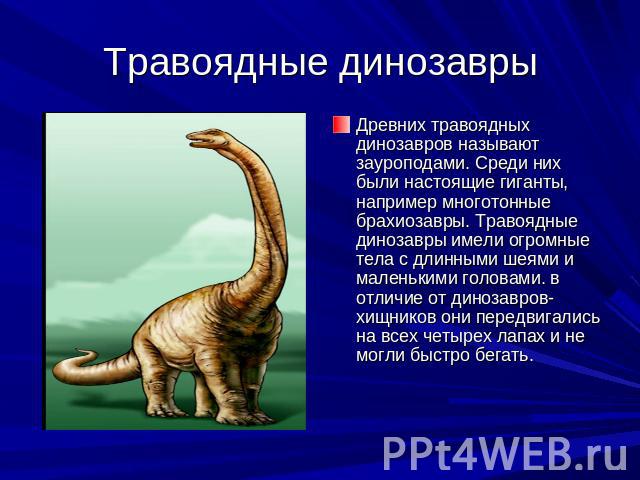 Травоядные динозавры Древних травоядных динозавров называют зауроподами. Среди них были настоящие гиганты, например многотонные брахиозавры. Травоядные динозавры имели огромные тела с длинными шеями и маленькими головами. в отличие от динозавров- хи…