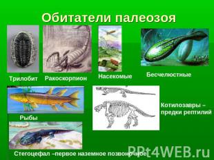 Обитатели палеозоя Трилобит Ракоскорпион Насекомые Бесчелюстные Котилозавры – пр
