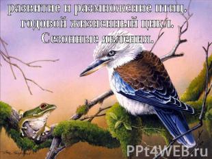 развитие и размножение птиц. годовой жизненный цикл. Сезонные явления