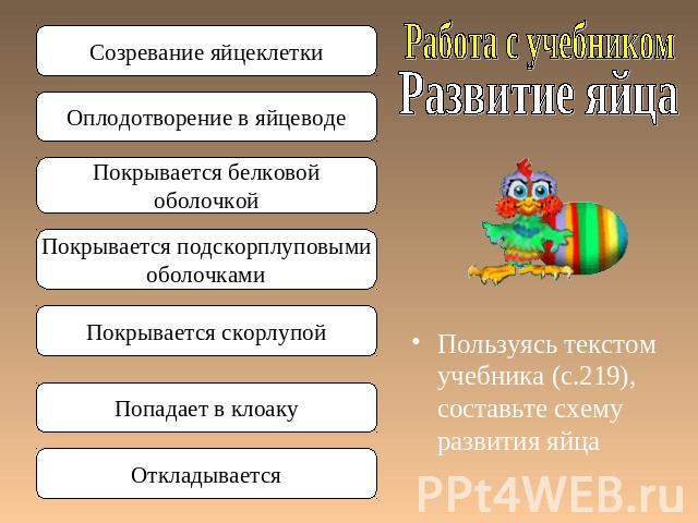 Работа с учебником Развитие яйца Пользуясь текстом учебника (с.219), составьте схему развития яйца