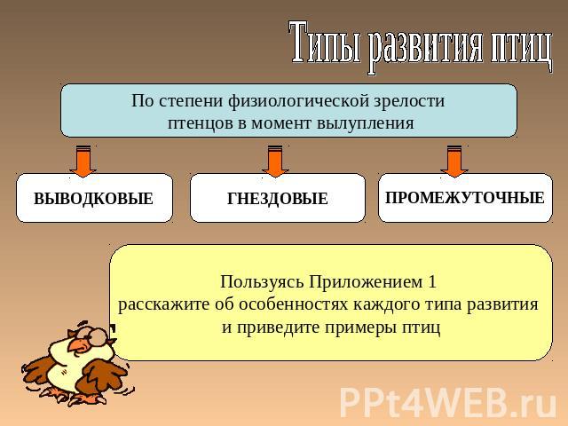 Типы развития птиц По степени физиологической зрелости птенцов в момент вылупления Пользуясь Приложением 1 расскажите об особенностях каждого типа развития и приведите примеры птиц