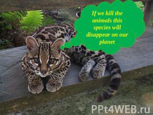 If we kill the animals this species will disappear on our planet