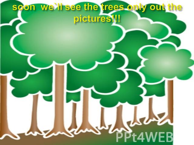 soon we`ll see the trees only out the pictures!!!