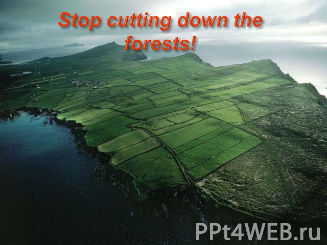 Stop cutting down the forests!