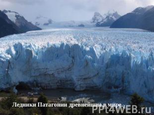 Ледники Патагонии древнейшие в мире.