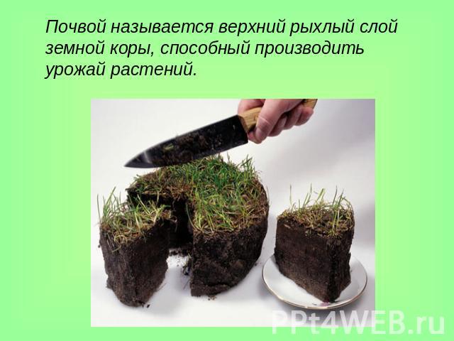 Почвой называется верхний рыхлый слой земной коры, способный производить урожай растений.