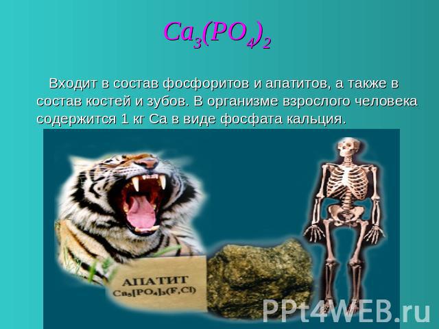 Ca3(PO4)2 Входит в состав фосфоритов и апатитов, а также в состав костей и зубов. В организме взрослого человека содержится 1 кг Са в виде фосфата кальция.