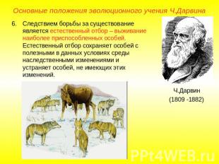 Основные положения эволюционного учения Ч.ДарвинаСледствием борьбы за существова