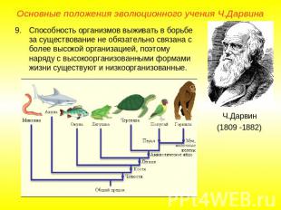 Основные положения эволюционного учения Ч.ДарвинаСпособность организмов выживать