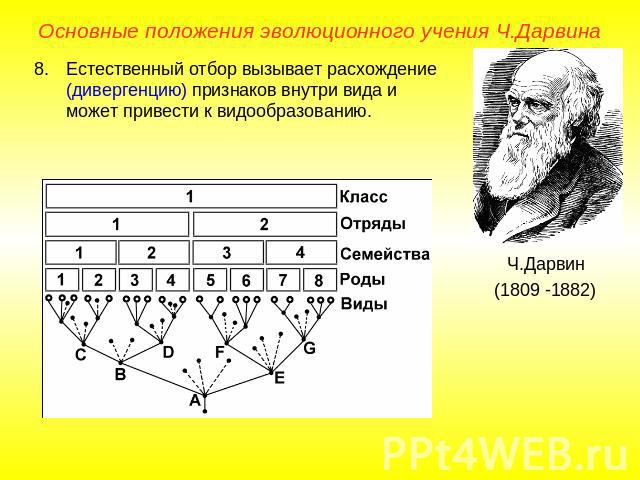 Основные положения эволюционного учения Ч.ДарвинаЕстественный отбор вызывает расхождение (дивергенцию) признаков внутри вида и может привести к видообразованию.Ч.Дарвин(1809 -1882)