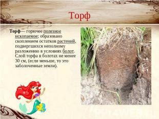 Торф Торф— горючее полезное ископаемое; образовано скоплением остатков растений,
