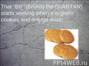 That “BS" (BRAIN the SPARTAN) starts working when it is given cookies and orange