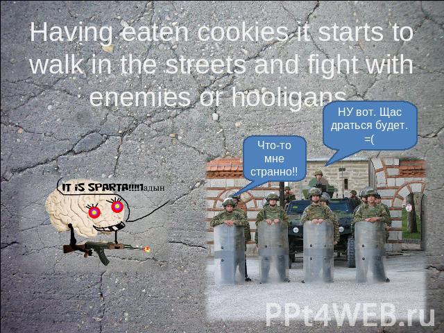 Having eaten cookies it starts to walk in the streets and fight with enemies or hooligans.