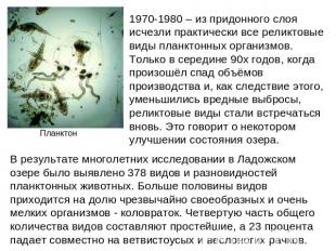 1970-1980 – из придонного слоя исчезли практически все реликтовые виды планктонн