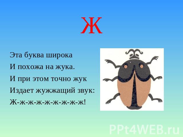 ЖЭта буква широкаИ похожа на жука.И при этом точно жукИздает жужжащий звук:Ж-ж-ж-ж-ж-ж-ж-ж-ж!