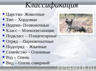 Классификация Царство- ЖивотныеТип – ХордовыеПодтип- ПозвоночныеКласс – Млекопит
