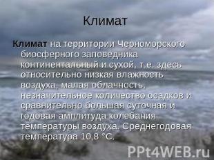 Климат Климат на территории Черноморского биосферного заповедника континентальны
