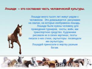 Лошади – это составная часть человеческой культуры. Лошади много тысяч лет живут