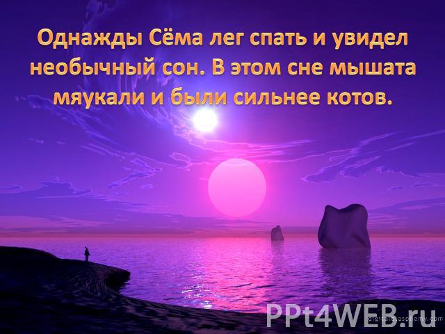 Однажды Сёма лег спать и увидел необычный сон. В этом сне мышата мяукали и были сильнее котов.