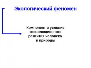 Экологический феномен Компонент и условие коэволюционного развития человека и пр