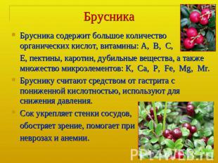 Брусника Брусника содержит большое количество органических кислот, витамины: А,