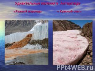 Удивительные явления в Антарктиде«Ржавый водопад» « Красный снег»