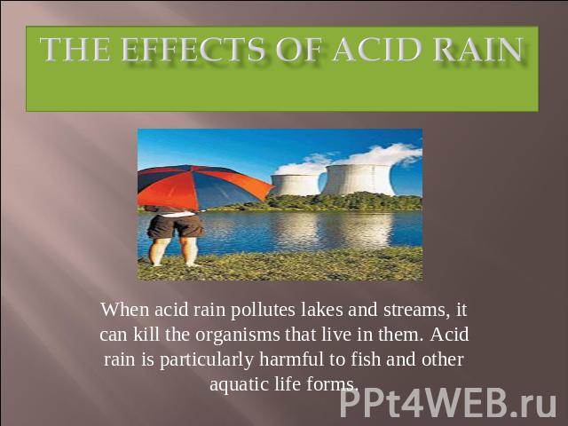 The Effects of Acid Rain When acid rain pollutes lakes and streams, it can kill the organisms that live in them. Acid rain is particularly harmful to fish and other aquatic life forms.