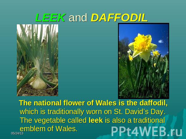 LEEK and DAFFODIL The national flower of Wales is the daffodil, which is traditionally worn on St. David’s Day. The vegetable called leek is also a traditional emblem of Wales.